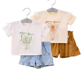 طقم صيفى مستورد فيونكة